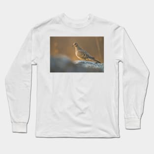 Mourning Dove On Rock Long Sleeve T-Shirt